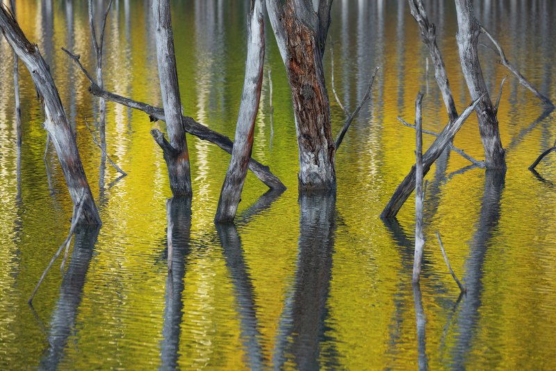 mountains, lake, romania, sunrise, landscape, nature, travel, autumn, trees, clouds, morning, reflection The Season of Coloursphoto preview