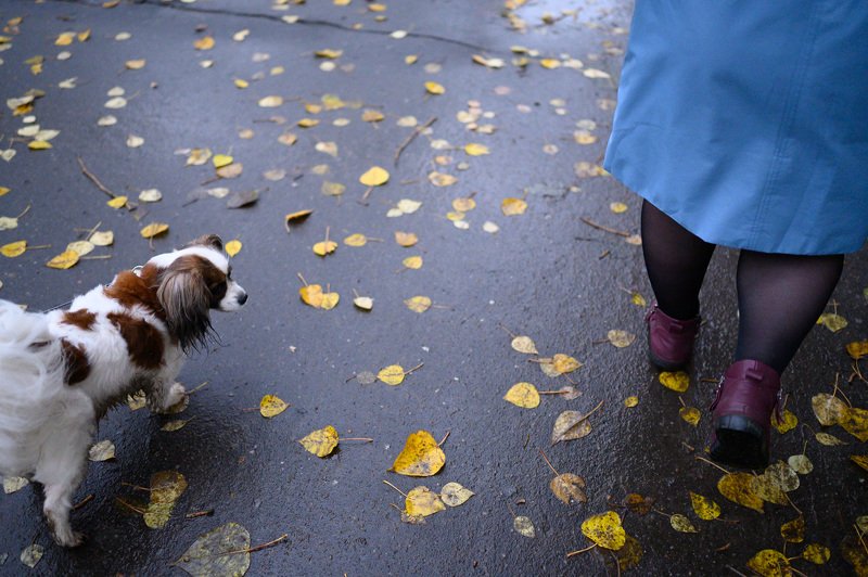уличная фотография, streetphotography, цвет, сюрреализм, Необъяснимоеphoto preview
