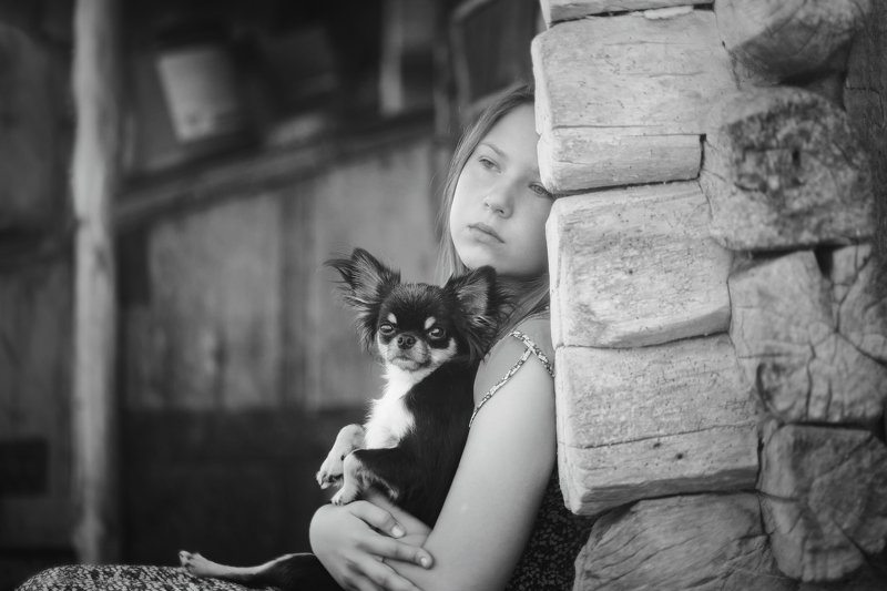 лето дети собака монохром жанр Минутка грустиphoto preview