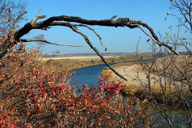 осень, скалы, река, солнце, деревья Вид на Дон с Галичьей горы в октябре фото превью