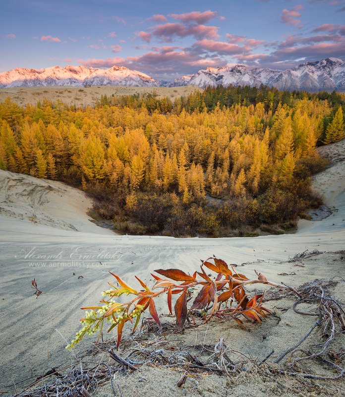 забайкалье, кодар ~ Песчаная чаша ~ фото превью