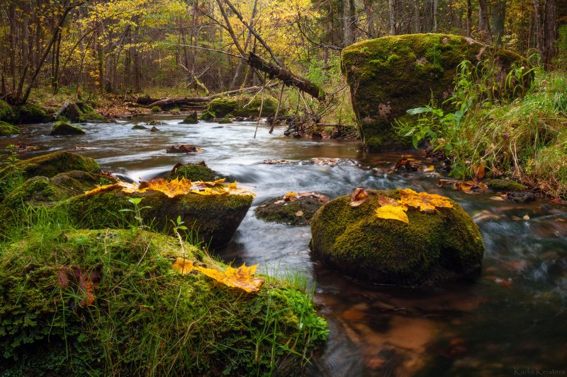 Осенняя река фото превью