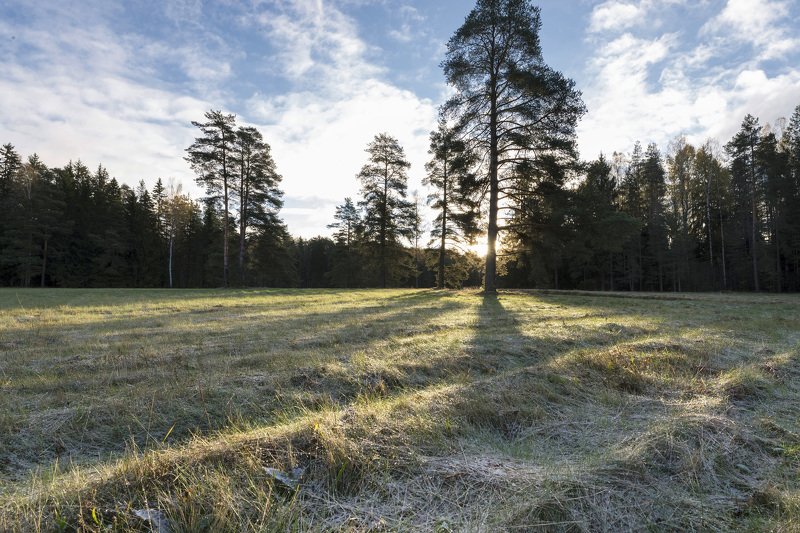 Осень в Павловском паркеphoto preview
