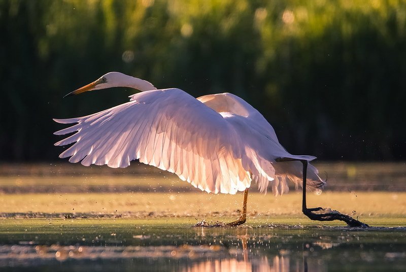 А я бегу такая вся...photo preview