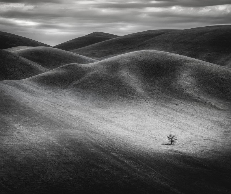 Одинphoto preview