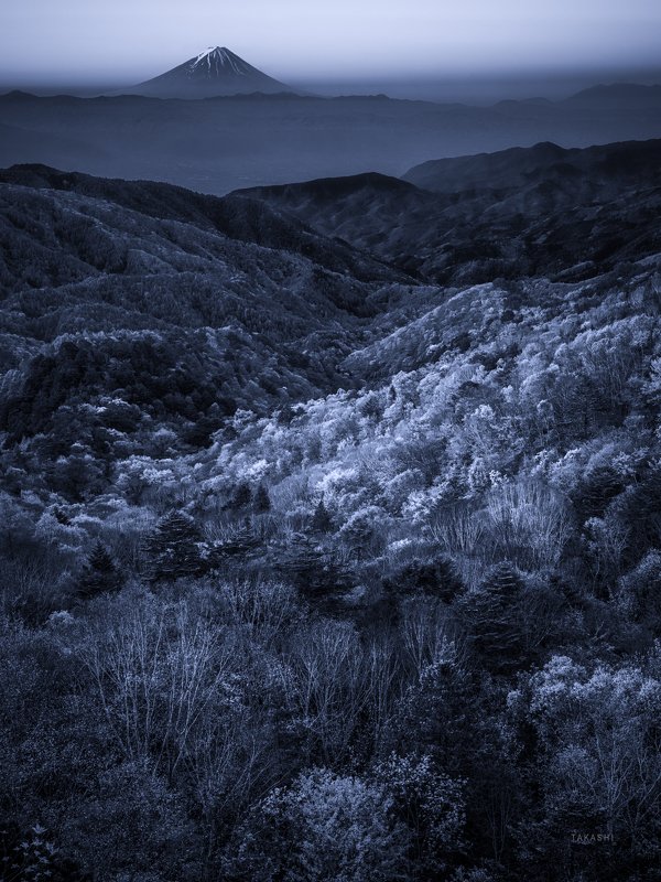 Fuji,Japan,mountain,forest,woods,tree,valley,autumn, Valley of autumn leavesphoto preview