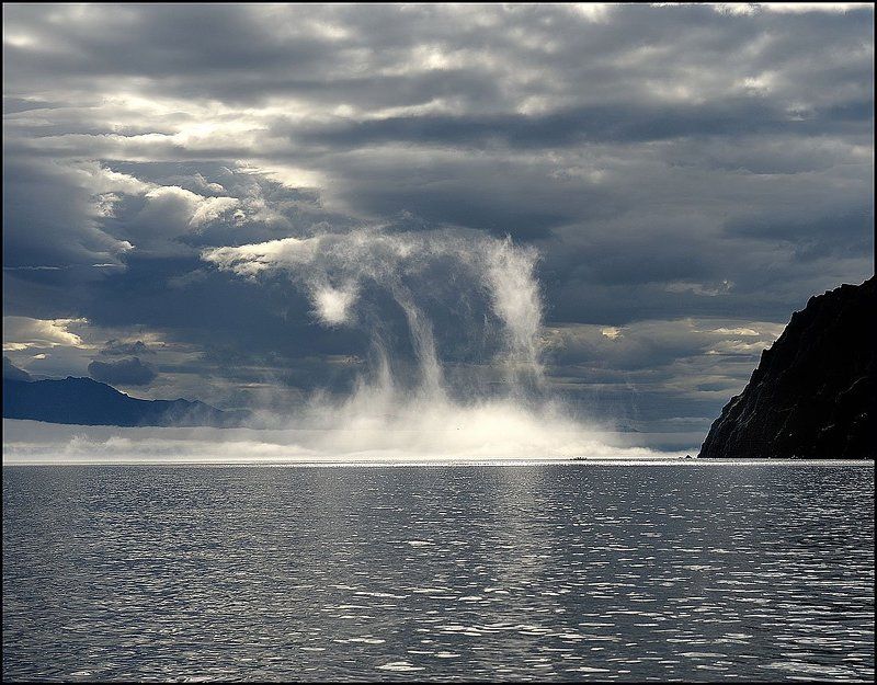 Выкрутасы острова Завъяловаphoto preview