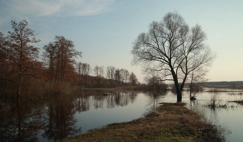 Разлив на реке Усманкаphoto preview