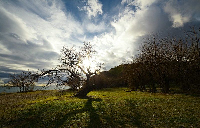 Крымphoto preview