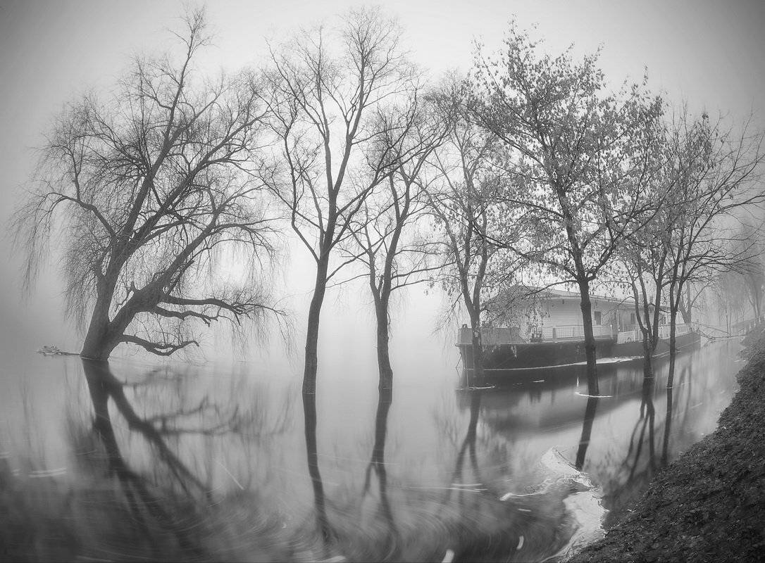 апрель. Автор: Сергей Шляга , Сергей Шляга