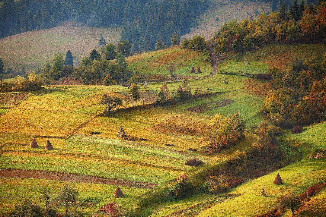 Подобовецкая тема. Автор: Вейзе Максим карпаты, октябрь, осень, утро, Вейзе Максим