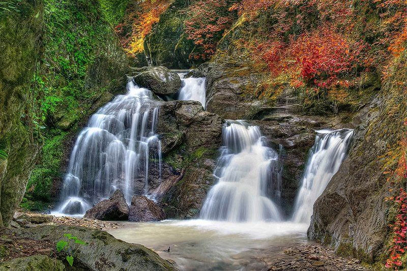 весна-осеньphoto preview