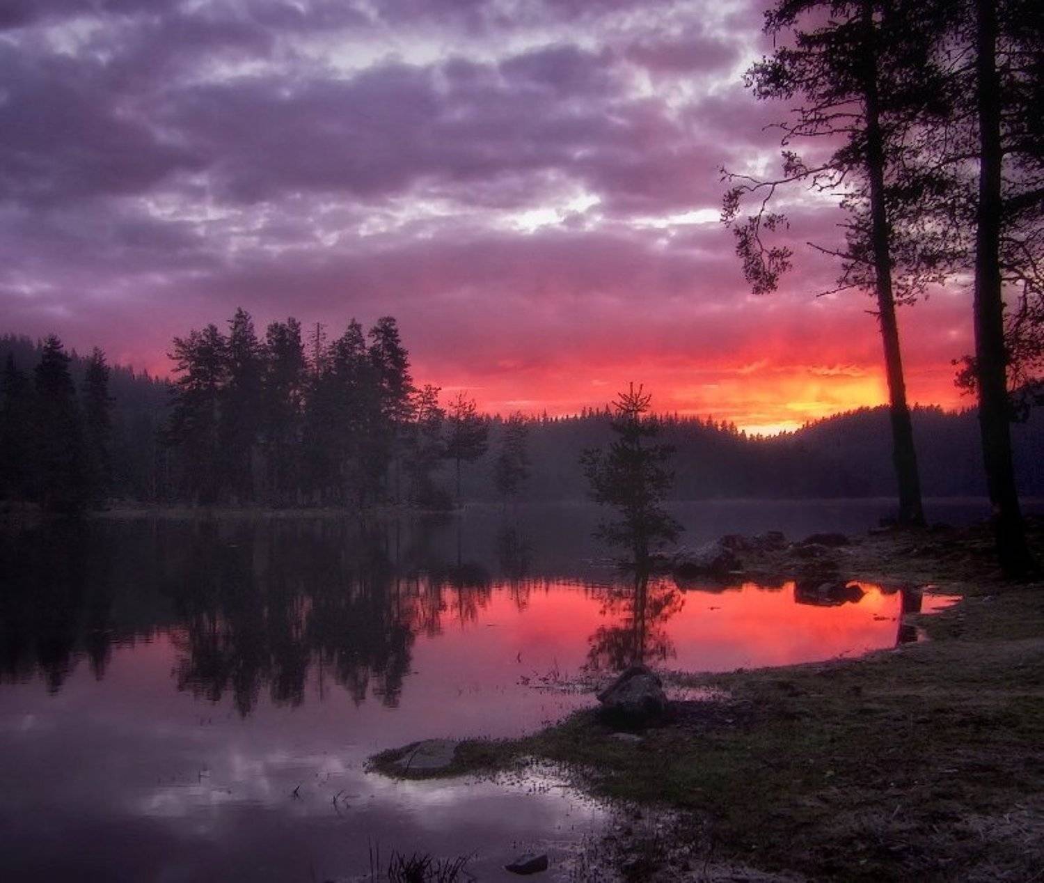 , Ирина Костова