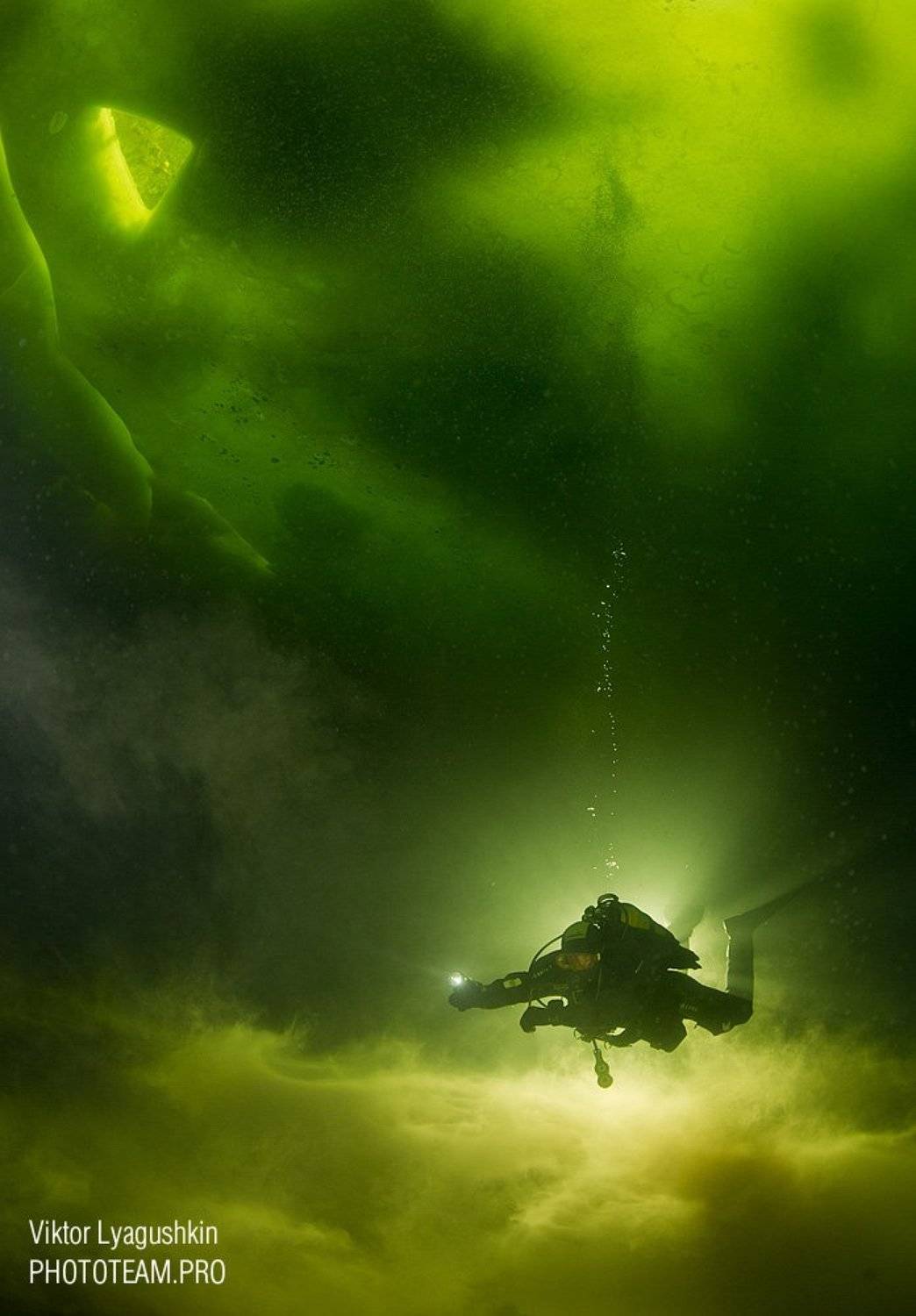 , Витя Лягушкин