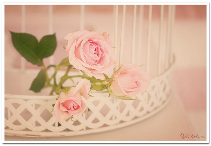 Home Sweet Homephoto preview