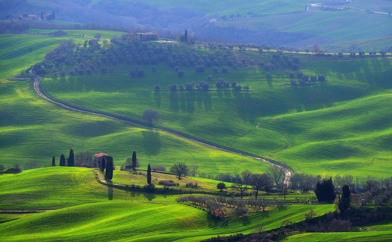 Про соседа, у которого корова жива.photo preview