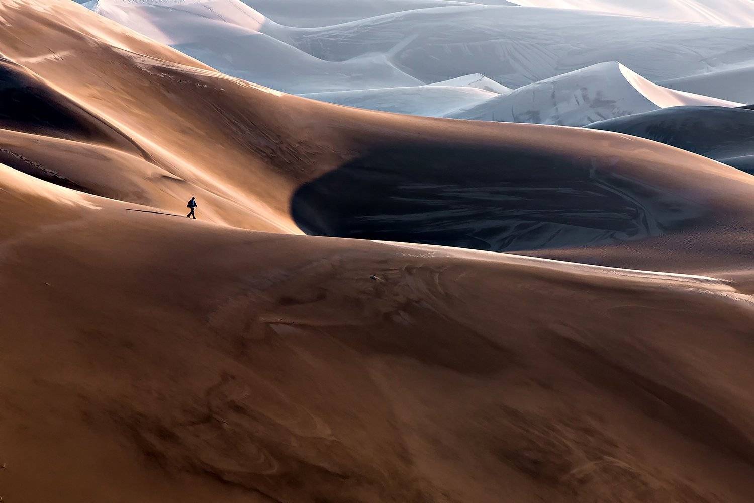 , Mohammadreza Momeni