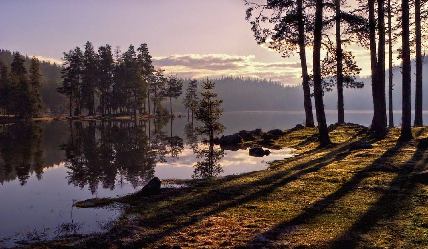 , Ирина Костова