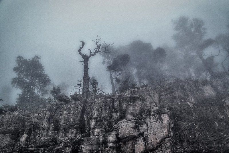 стражиphoto preview