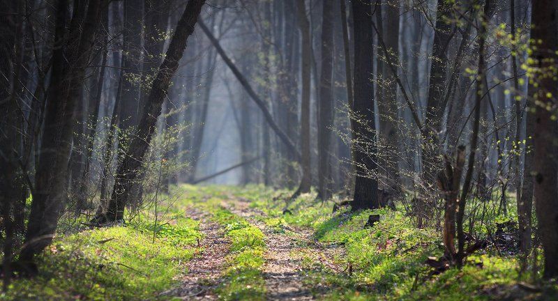 Теоремаphoto preview