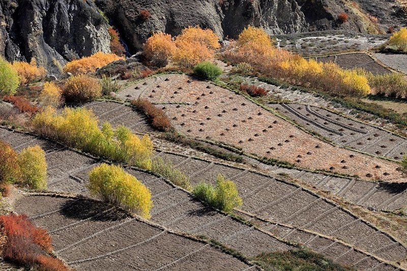Осень в Гималаяхphoto preview