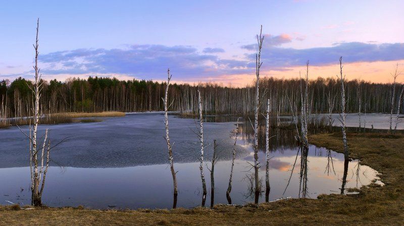 апрель, саврасово, вечер Последний лёд.photo preview