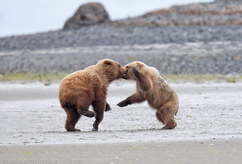 Щас, братан, ты у меня получишь... / Now you gonna get itphoto preview