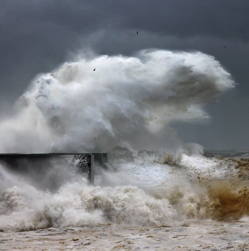 The Man of the Oceanphoto preview