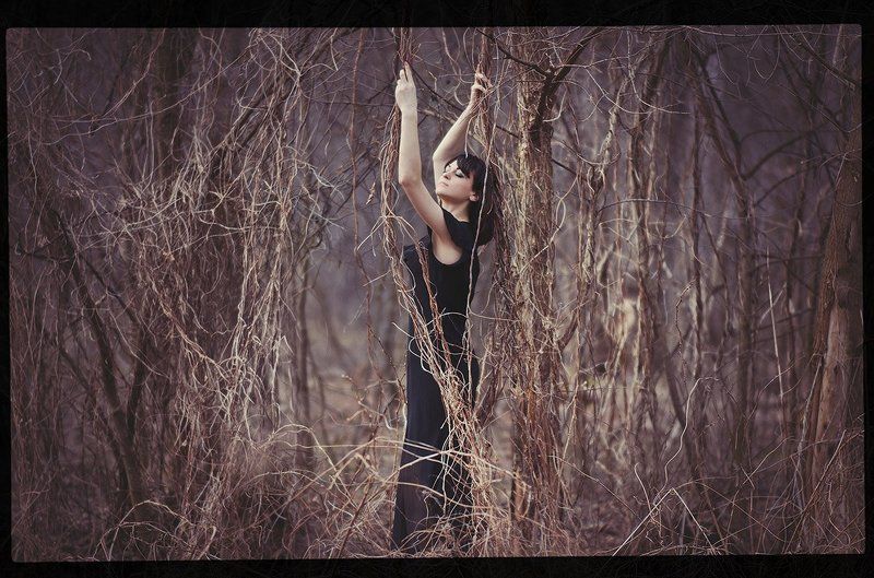 Серый дымphoto preview