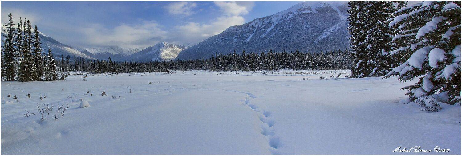 По следам Джека.... Автор: Michael Latman , Michael Latman