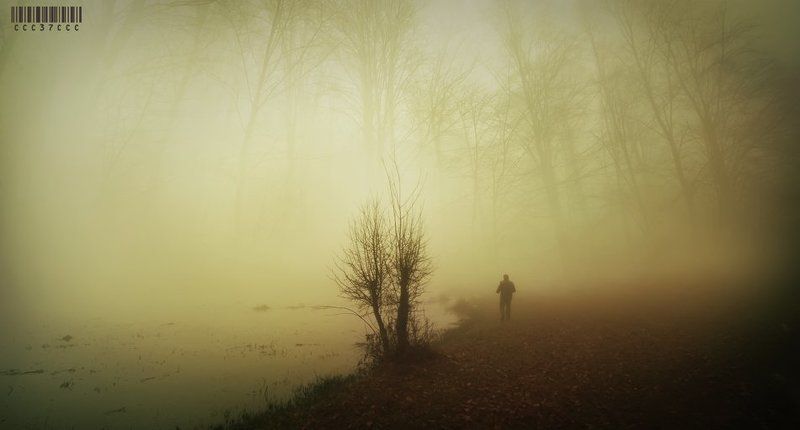 * Ver Bana Düşlerimi .... *photo preview