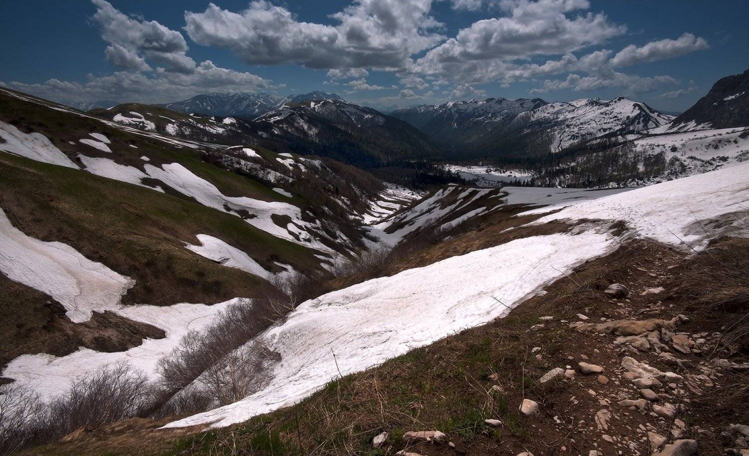 Покидая приют. Автор: Ирина Заграничная , Ирина Заграничная