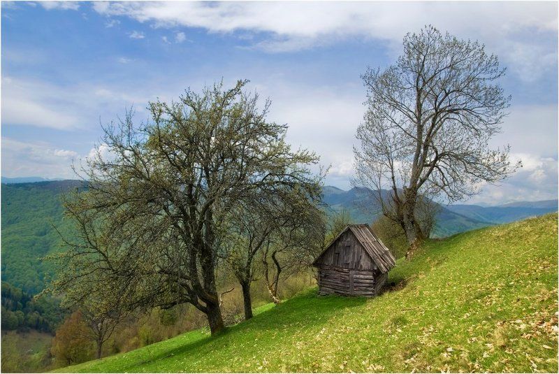 Весенняя избушка...photo preview