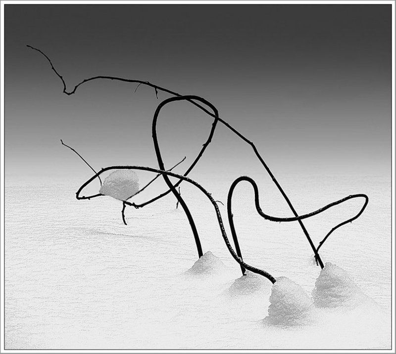 иероглифphoto preview