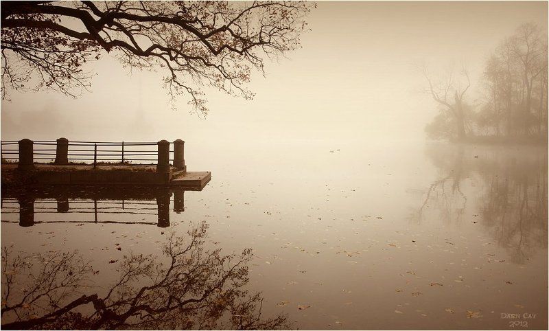 питер, парк, туман, пристань, ветки,  отражение, листва, остров Осеннее хоккуphoto preview