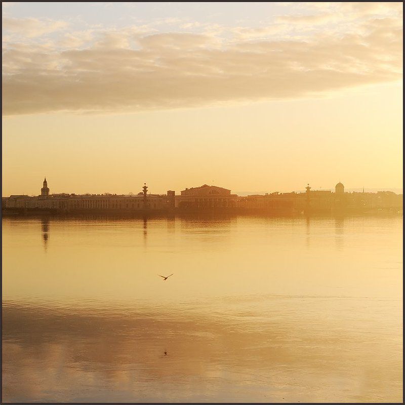 петербург, центр, нева, закат, квадрат Простая закатная питерская квадратная зарисовка с Невыphoto preview