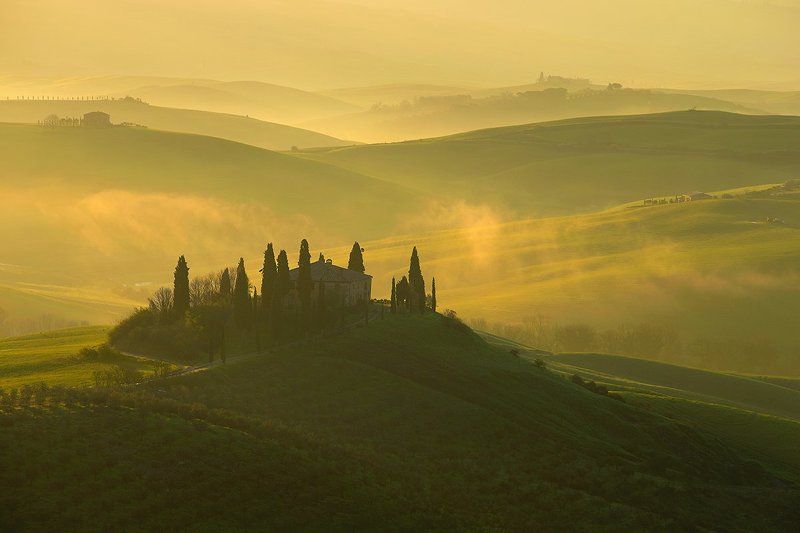 Early spring  IIphoto preview