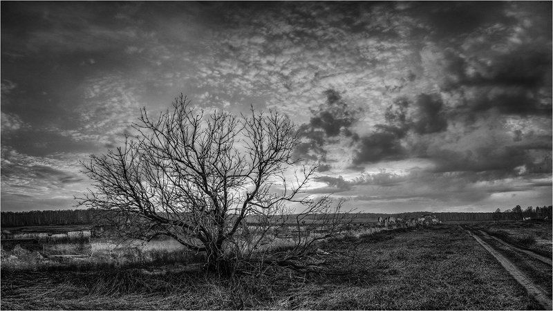 Апрельский вечерphoto preview