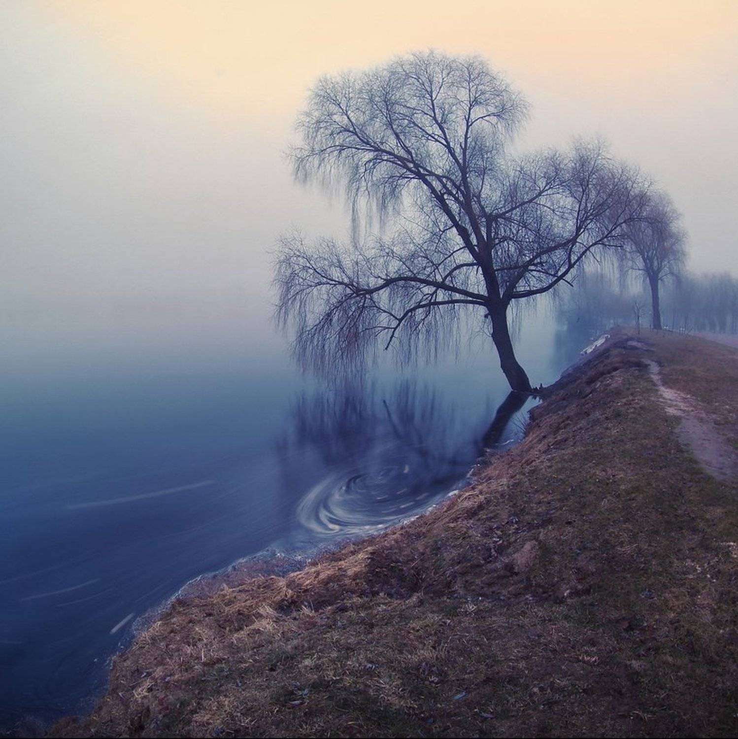 Автор: Сергей Шляга , Сергей Шляга