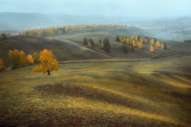 осень, береза, башкирия, башкортостан Осенняя пораphoto preview
