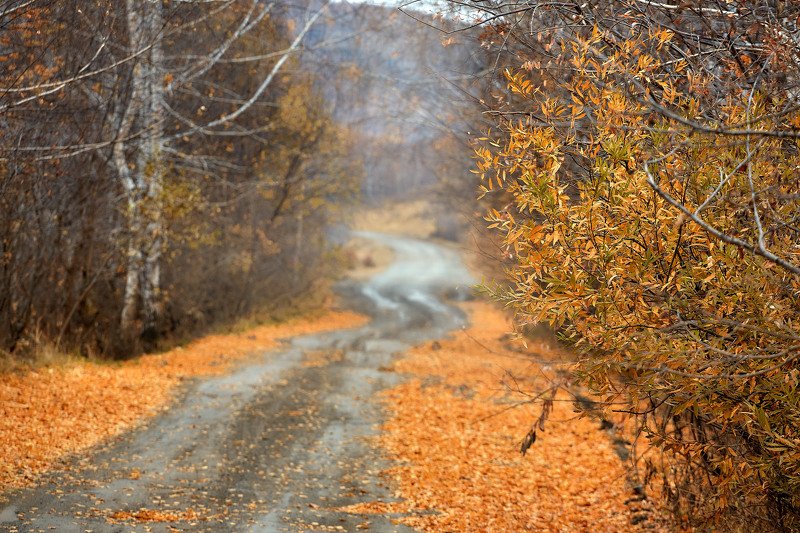 южный урал,оренбургская область, орск, новотроицк,башкирия, башкиртостан Поздняя осень.. фото превью