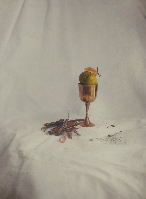 Натюрморт с рюмкой и древесинойphoto preview