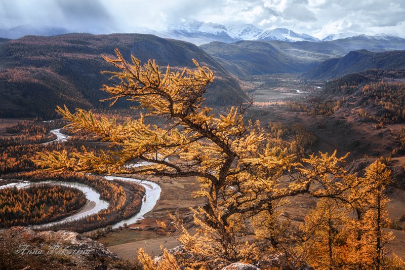 пейзаж, осень, алтай, altai, altay, landscape Осенний Алтайphoto preview