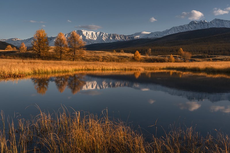 алтай, кони, лошади, небо, горный алтай, пейзаж, северо-чуйский хребет, джангысколь Вечерний Джангыскольphoto preview