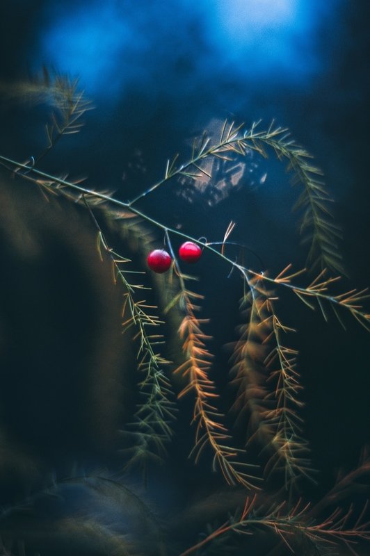 На закатеphoto preview