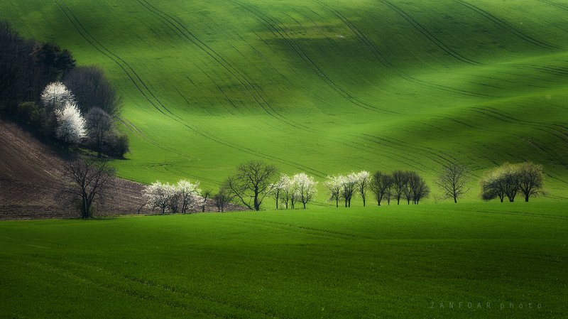 моравская тоскана,пейзаж,чехия,zanfoar,czech republic,czechia,nikon d750,landscape, Моравская Тоскана ....photo preview