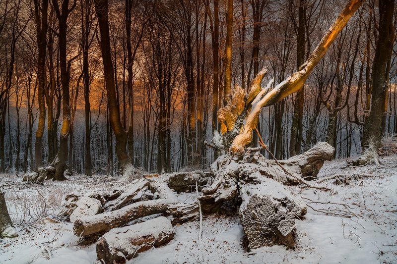 Happy ...photo preview