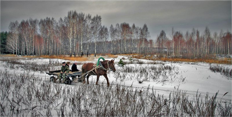 Первый снегphoto preview
