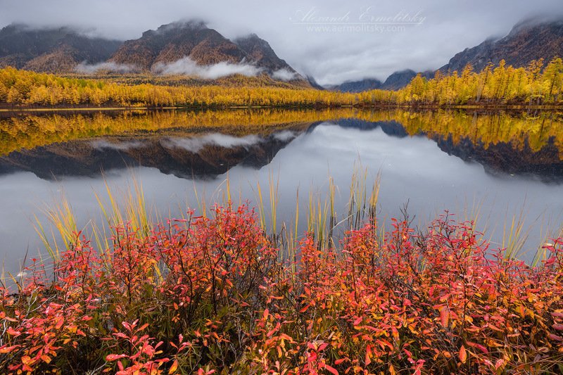забайкалье, кодар ~ Харьюзовое ~ фото превью