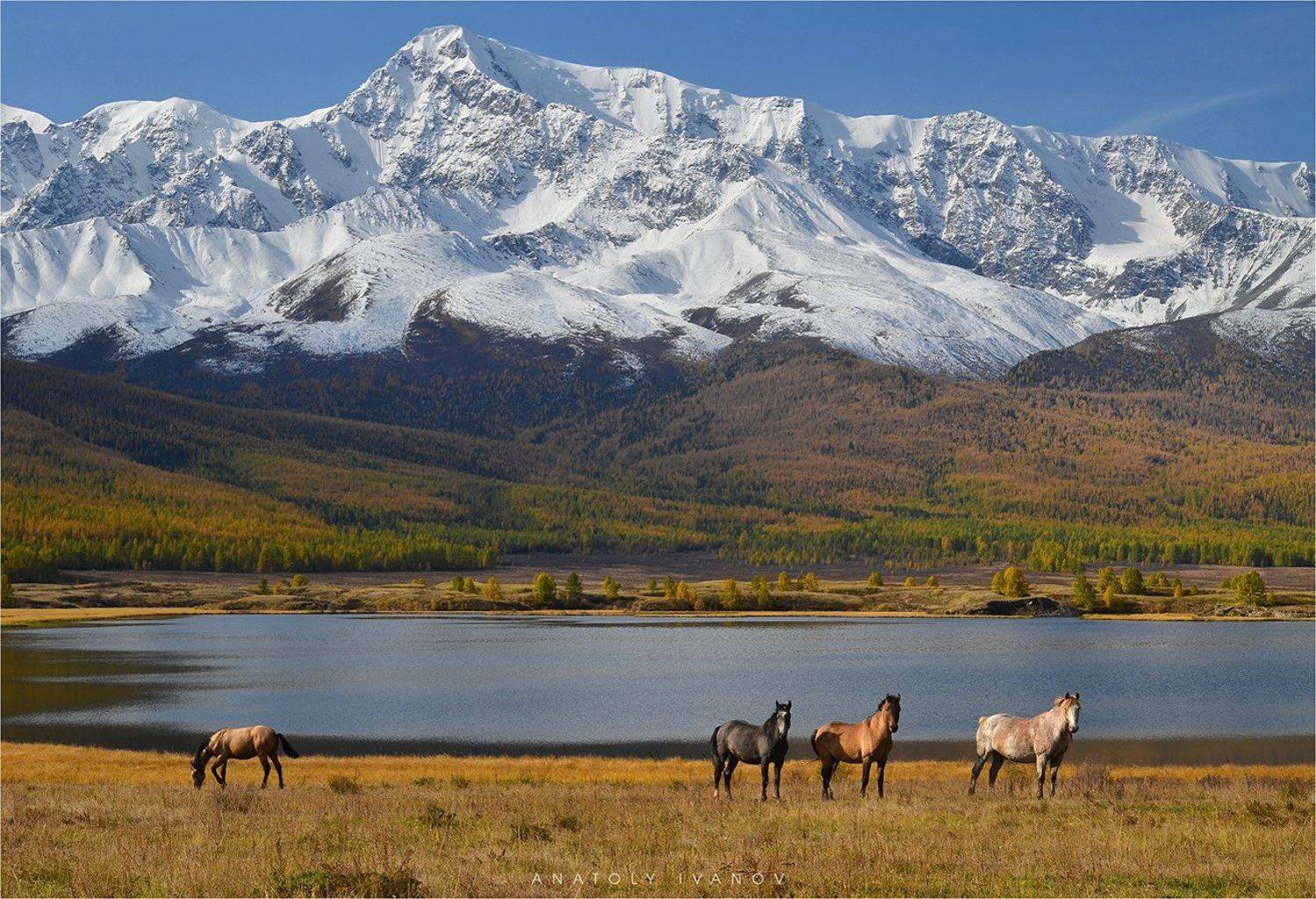 республика алтай, урочище ештыкёль, озеро джангысколь, северо-чуйский хребет, Анатолий Иванов